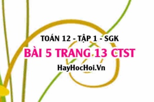 Bài 5 trang 13 Toán 12 tập 1 Chân trời sáng tạo